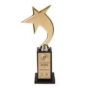 Domestic water purifier